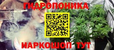 гидропоника Бугуруслан