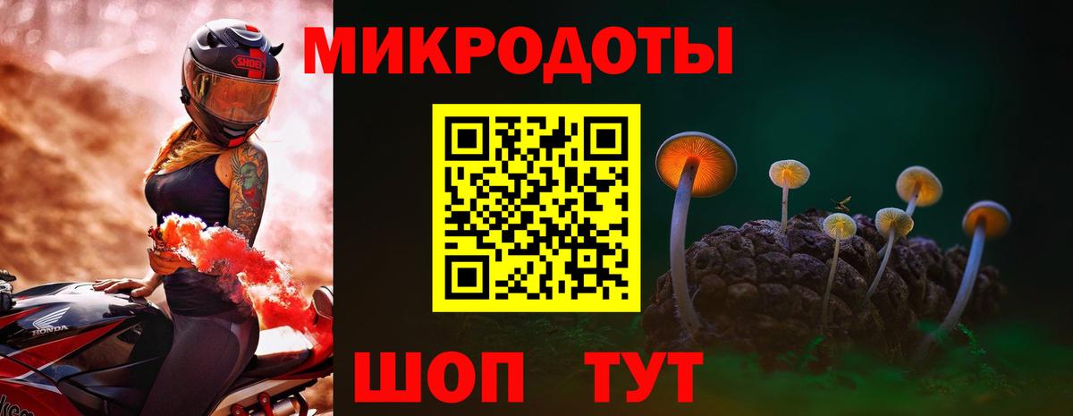 как найти   Вход с VPN  Ступино  Галлюциногенные грибы мицелий 